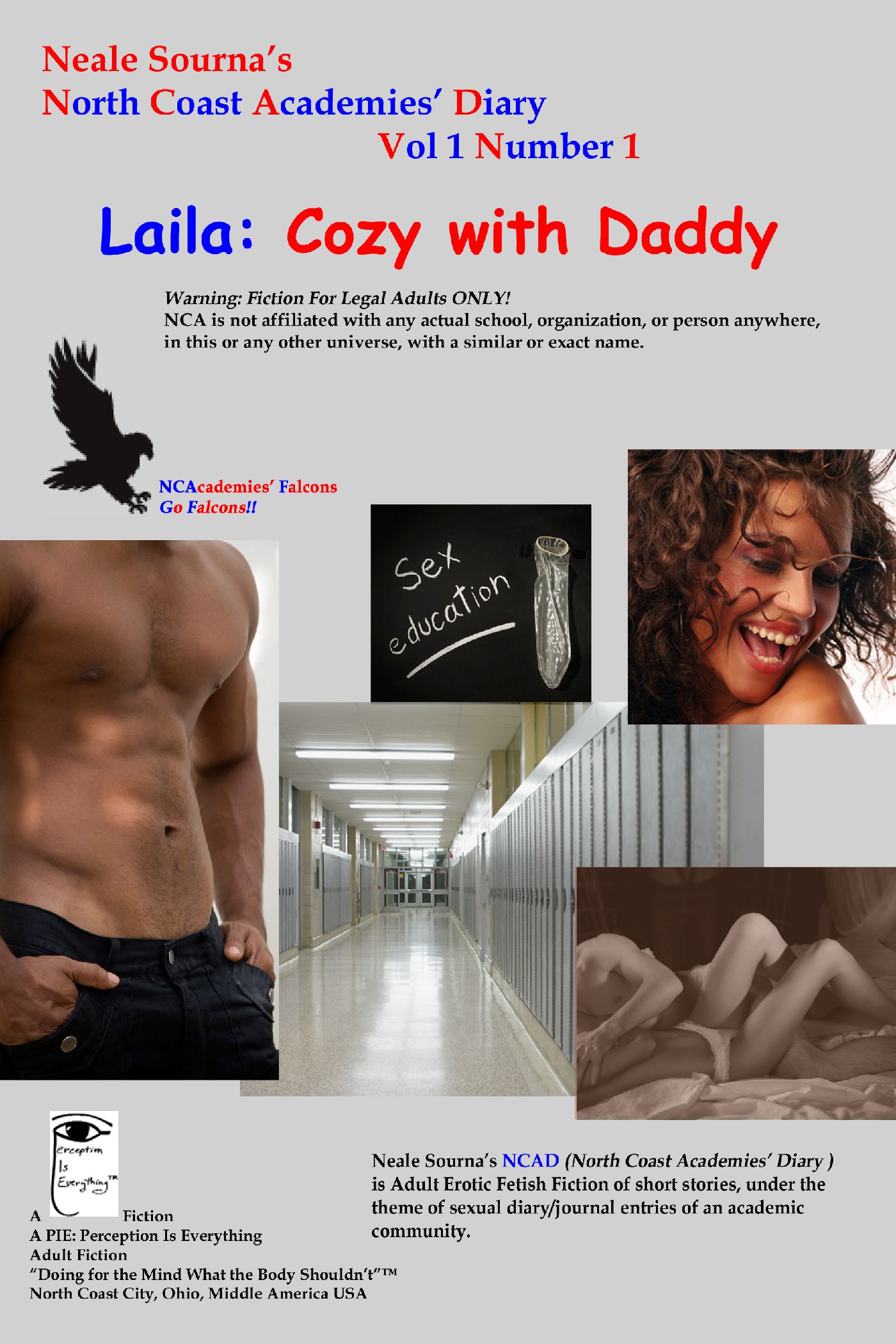 book cover Laila: Cozy with Daddy by Neale Sourna