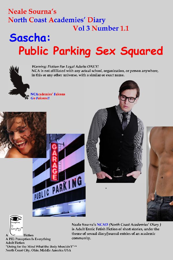 book cover Sascha: Public Parking Sex Squared by Neale Sourna