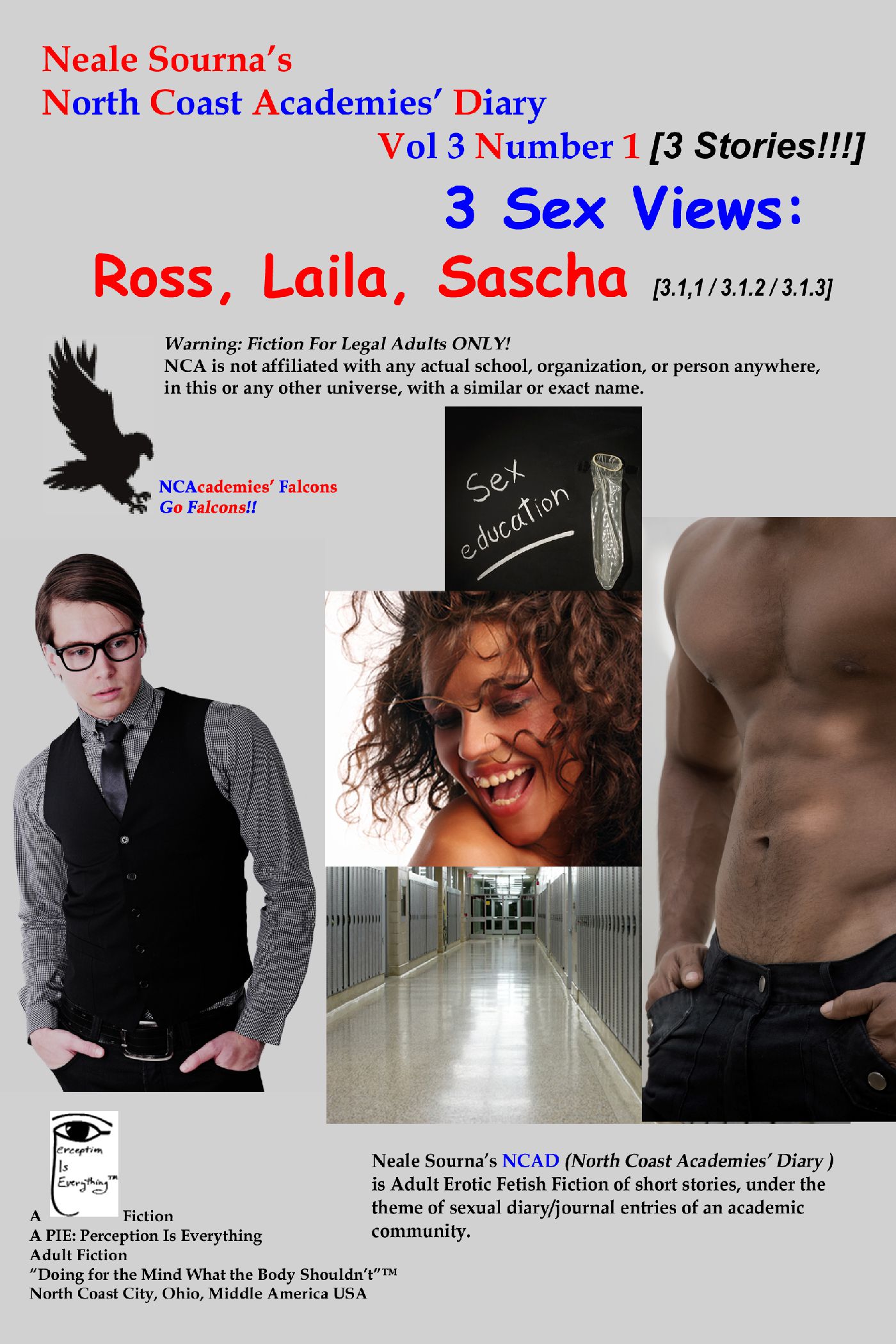 book cover 3 Sex Views: Ross, Laila, & Sascha by Neale Sourna